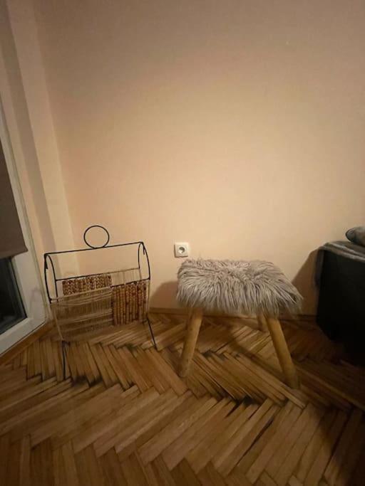 בלגרד Bg Sunflower Apartment מראה חיצוני תמונה