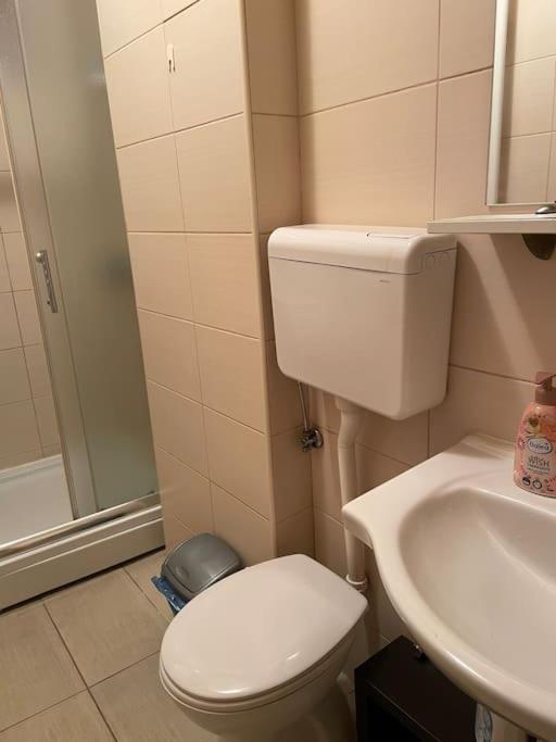 בלגרד Bg Sunflower Apartment מראה חיצוני תמונה