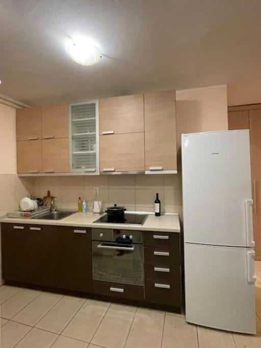 בלגרד Bg Sunflower Apartment מראה חיצוני תמונה
