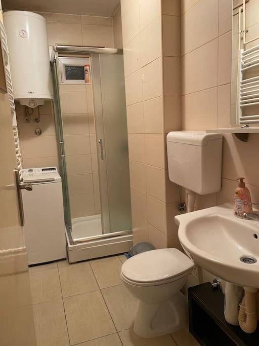 בלגרד Bg Sunflower Apartment מראה חיצוני תמונה