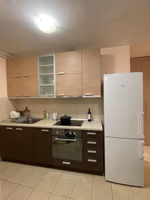 בלגרד Bg Sunflower Apartment מראה חיצוני תמונה