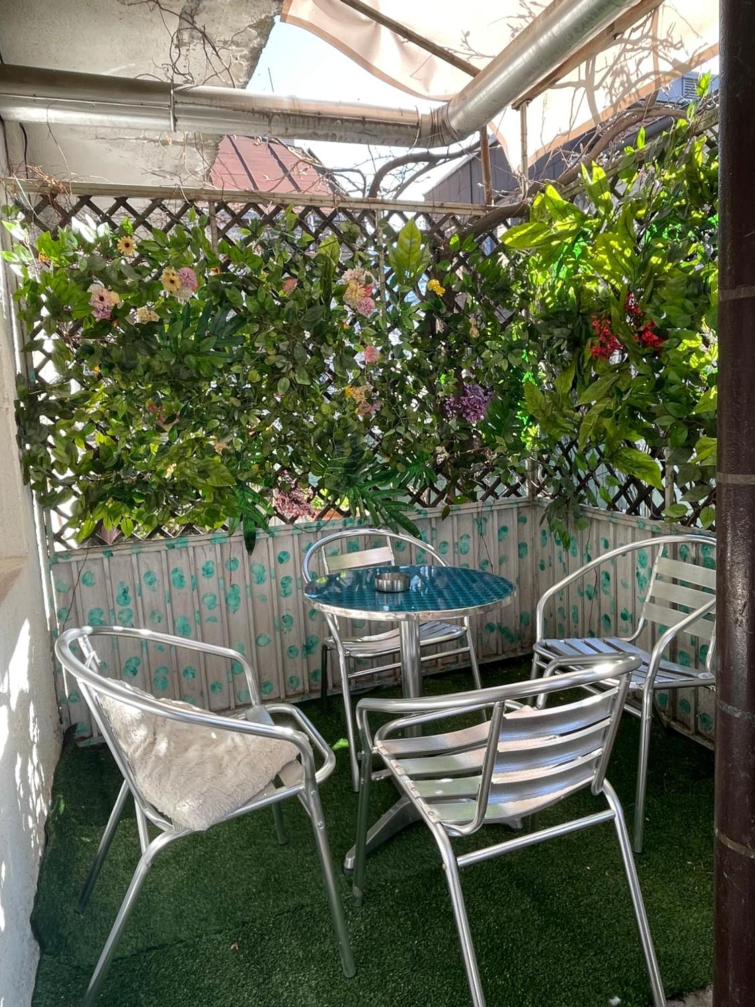 בלגרד Bg Sunflower Apartment מראה חיצוני תמונה